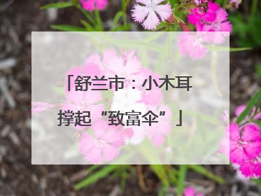 舒兰市：小木耳撑起“致富伞”