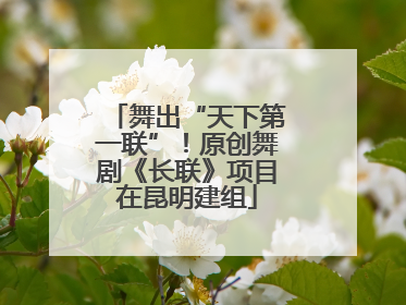 舞出“天下第一联”！原创舞剧《长联》项目在昆明建组