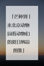 芒种到丨来北京动物园看动物们的夏日纳凉图鉴