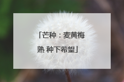 芒种：麦黄梅熟 种下希望