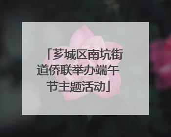 芗城区南坑街道侨联举办端午节主题活动