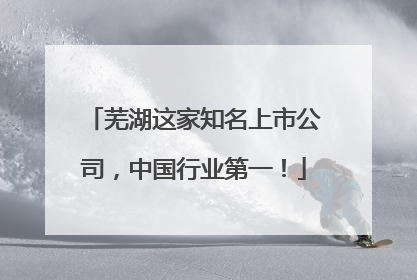 芜湖这家知名上市公司，中国行业第一！