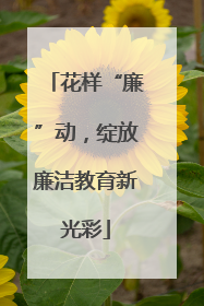 花样“廉”动，绽放廉洁教育新光彩