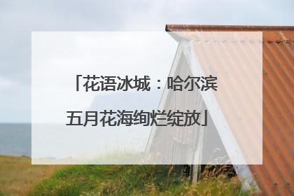 花语冰城：哈尔滨五月花海绚烂绽放