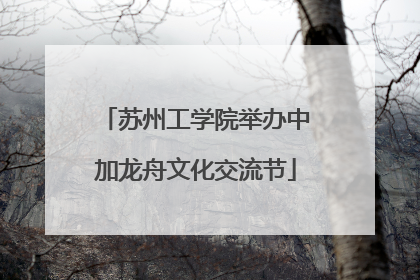苏州工学院举办中加龙舟文化交流节