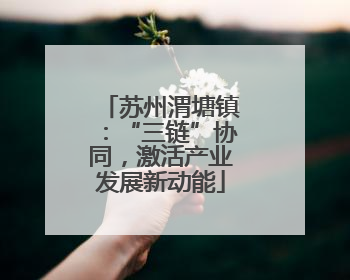 苏州渭塘镇：“三链”协同，激活产业发展新动能