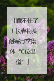 藏不住了！长春街头耐寒月季集体“C位出道”