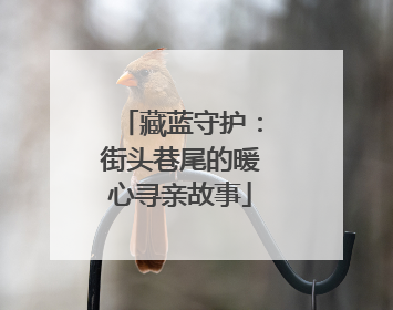 藏蓝守护：街头巷尾的暖心寻亲故事