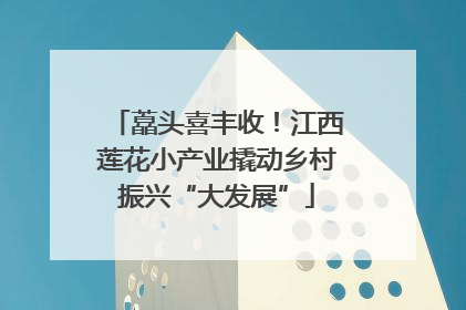 藠头喜丰收！江西莲花小产业撬动乡村振兴“大发展”
