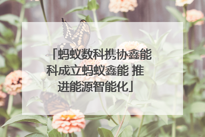 蚂蚁数科携协鑫能科成立蚂蚁鑫能 推进能源智能化