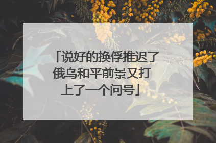 说好的换俘推迟了 俄乌和平前景又打上了一个问号