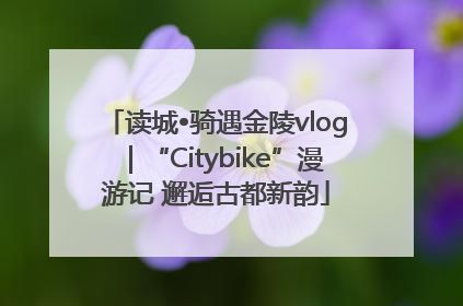 读城•骑遇金陵vlog｜“Citybike”漫游记 邂逅古都新韵