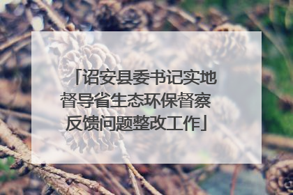 诏安县委书记实地督导省生态环保督察反馈问题整改工作