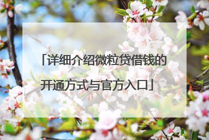 详细介绍微粒贷借钱的开通方式与官方入口