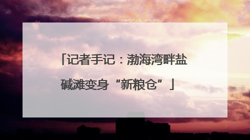 记者手记：渤海湾畔盐碱滩变身“新粮仓”