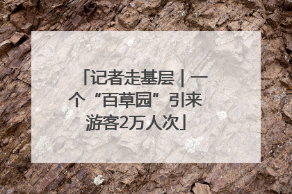 记者走基层｜一个“百草园”引来游客2万人次