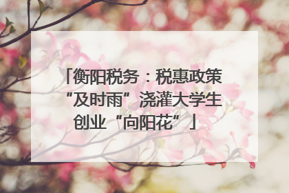 衡阳税务：税惠政策“及时雨”浇灌大学生创业“向阳花”