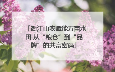 衢江山农赋能万亩水田 从“粮仓”到“品牌”的共富密码