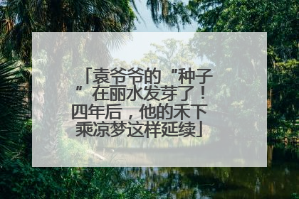 袁爷爷的“种子”在丽水发芽了！四年后，他的禾下乘凉梦这样延续
