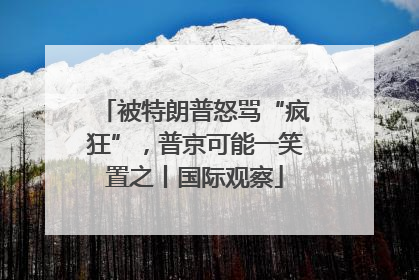 被特朗普怒骂“疯狂”，普京可能一笑置之丨国际观察