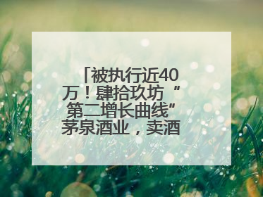 被执行近40万！肆拾玖坊“第二增长曲线”茅泉酒业，卖酒还是卖模式？