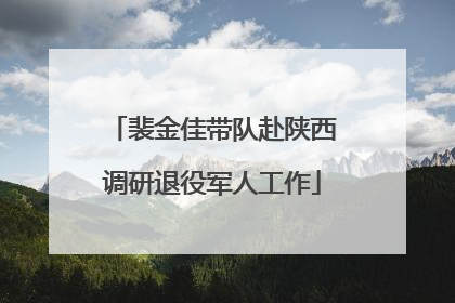 裴金佳带队赴陕西调研退役军人工作