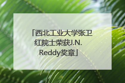 西北工业大学张卫红院士荣获J.N.Reddy奖章