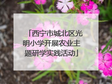 西宁市城北区光明小学开展农业主题研学实践活动