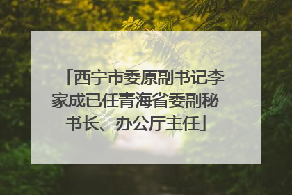 西宁市委原副书记李家成已任青海省委副秘书长、办公厅主任