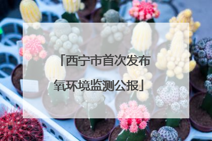 西宁市首次发布氧环境监测公报