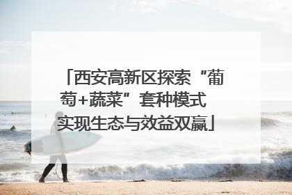 西安高新区探索“葡萄+蔬菜”套种模式 实现生态与效益双赢