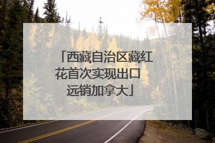 西藏自治区藏红花首次实现出口 远销加拿大