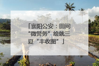 襄阳公安：田间“微警务”绘就三夏“丰收图”