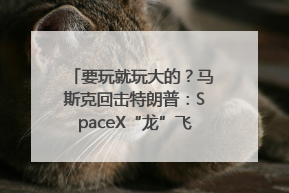 要玩就玩大的？马斯克回击特朗普：SpaceX“龙”飞船将立即退役！