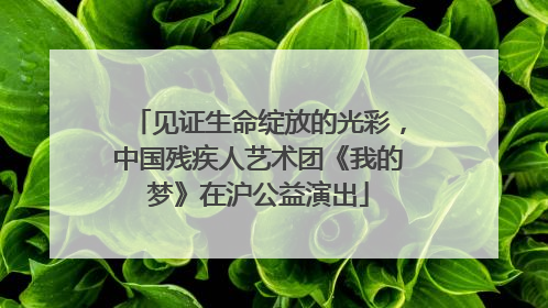 见证生命绽放的光彩，中国残疾人艺术团《我的梦》在沪公益演出