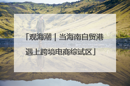 观海潮｜当海南自贸港遇上跨境电商综试区