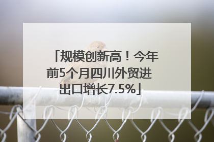 规模创新高！今年前5个月四川外贸进出口增长7.5%