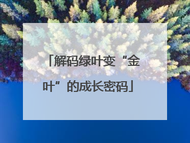 解码绿叶变“金叶”的成长密码