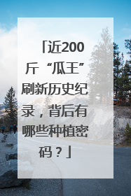 近200斤“瓜王”刷新历史纪录，背后有哪些种植密码？
