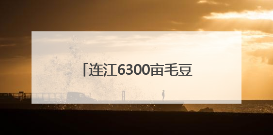 连江6300亩毛豆上市 部分出口海外