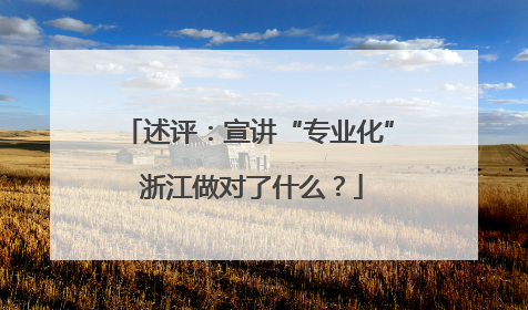 述评：宣讲“专业化” 浙江做对了什么？