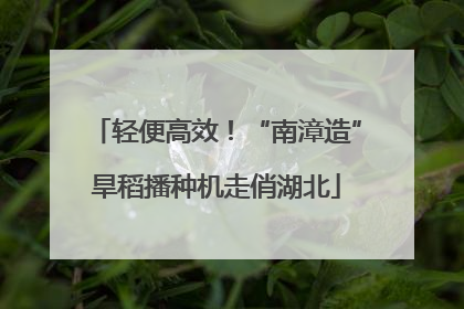 轻便高效！“南漳造”旱稻播种机走俏湖北