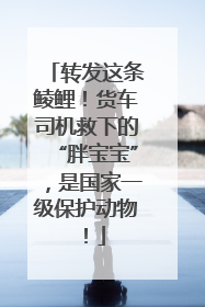 转发这条鲮鲤！货车司机救下的“胖宝宝”，是国家一级保护动物！