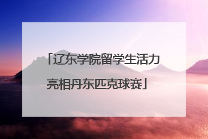 辽东学院留学生活力亮相丹东匹克球赛