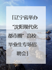 辽宁省举办“沈阳现代化都市圈”高校毕业生专场招聘会