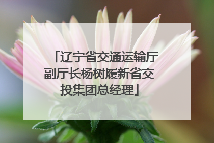 辽宁省交通运输厅副厅长杨树履新省交投集团总经理
