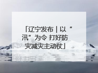 辽宁发布｜以“汛”为令 打好防灾减灾主动仗