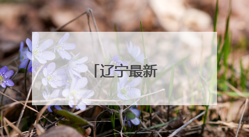 辽宁最新任免名单