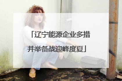 辽宁能源企业多措并举备战迎峰度夏