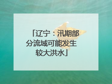 辽宁：汛期部分流域可能发生较大洪水